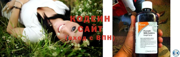 PSILOCYBIN Михайлов