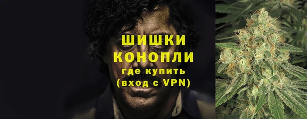 эйфоретик Надым